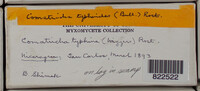 Image Associated With the Occurence
